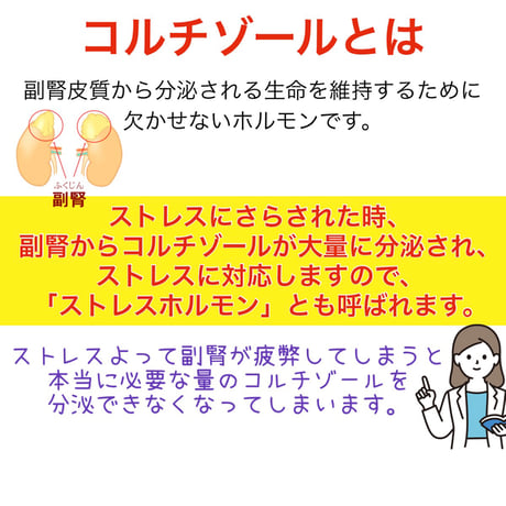 選べるメイン肉🍖初めての手作りご飯〜1月旬〜