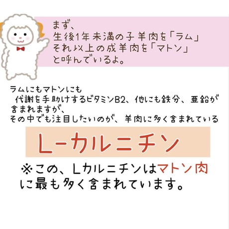 🐏マトン骨付きすね肉※送料は着払い