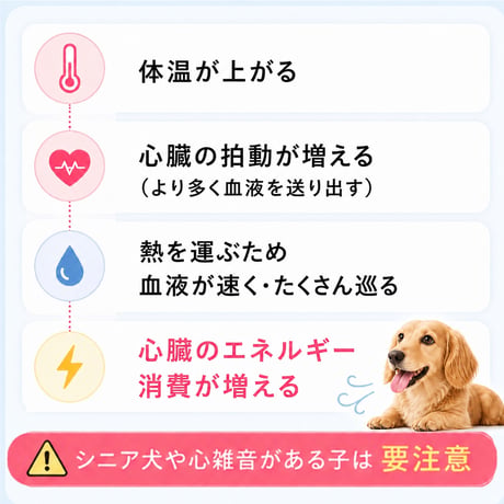 初めての手作りご飯〜7月旬〜