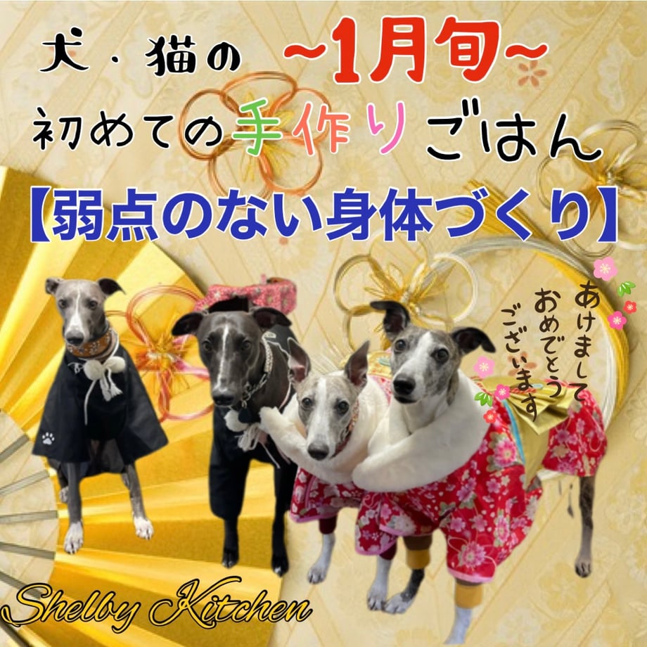 6593eee85d2d4e0d8b64c36b