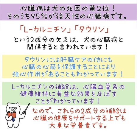 🐏マトン骨付きすね肉※送料は着払い