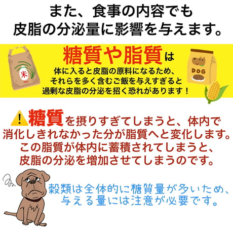 初めての手作りご飯~6月旬~※送料は全て冷凍商品着払い