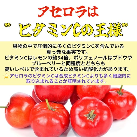 選べるメイン肉🍖初めての手作りご飯〜1月旬〜