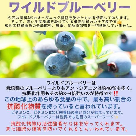 初めての手作りご飯~6月旬~※送料は全て冷凍商品着払い