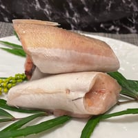 🐟 金頭筒切