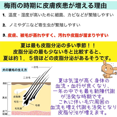 初めての手作りご飯~6月旬~※送料は全て冷凍商品着払い