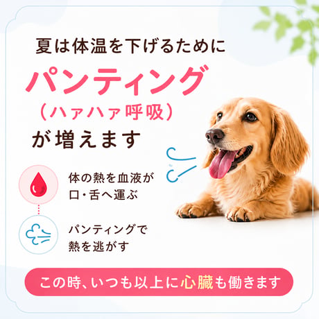 初めての手作りご飯〜7月旬〜