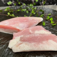 🐊 ワニ肉 タン