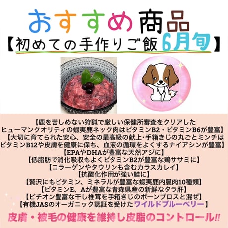 初めての手作りご飯~6月旬~※送料は全て冷凍商品着払い