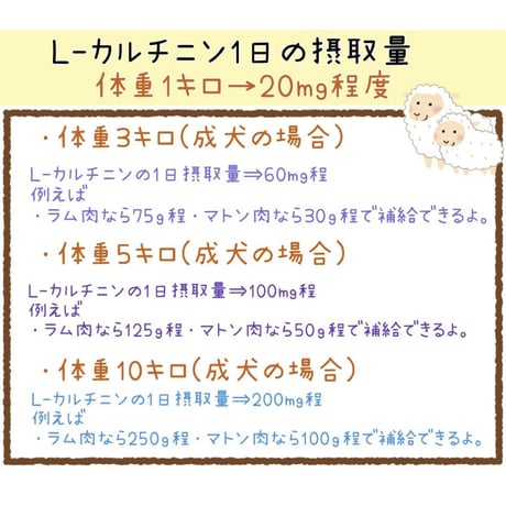 🐏マトン骨付きすね肉※送料は着払い