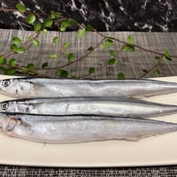 🐟秋刀魚(バラ凍結品)