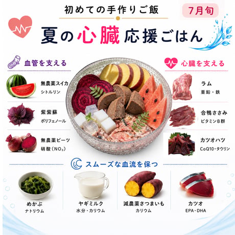 初めての手作りご飯〜7月旬〜