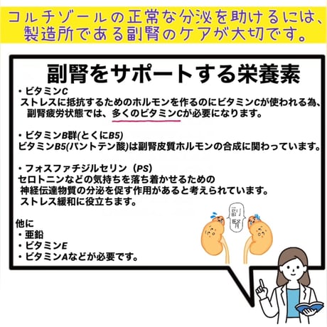 選べるメイン肉🍖初めての手作りご飯〜1月旬〜