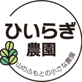 hiiragi marche