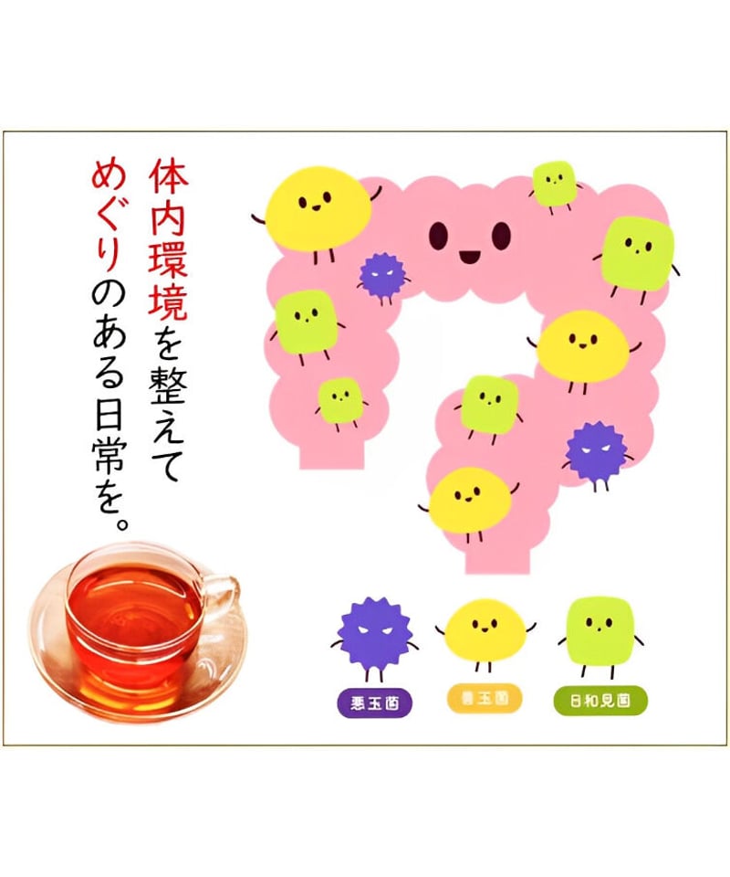 サラシアほうじ茶 | hiiragi marche