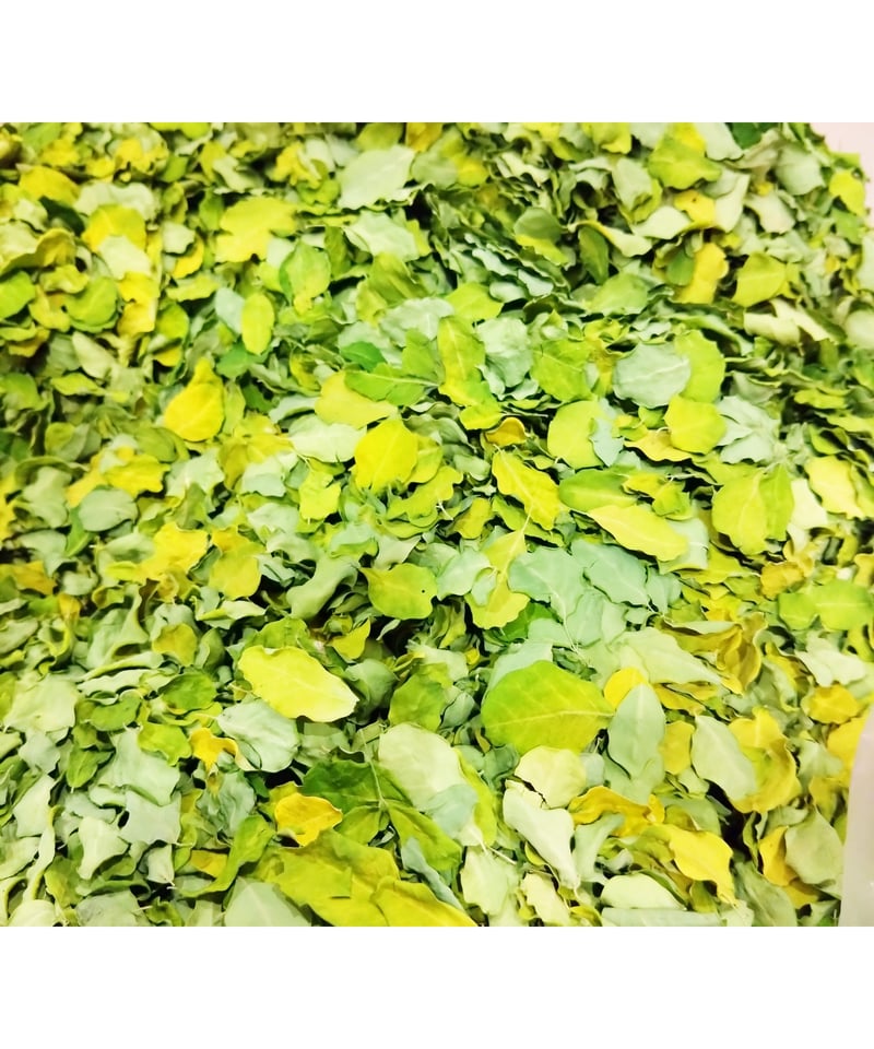 WAL160乾燥モリンガ葉600g 419trcXBzLL.jpg_BO30,255,255,