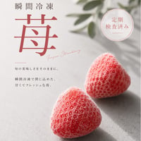 【品質検査済み】　超高速瞬間冷凍苺　500g 送料無料