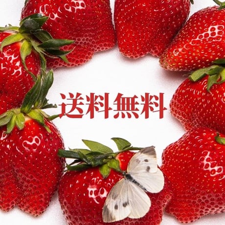 ドライ苺（40g）