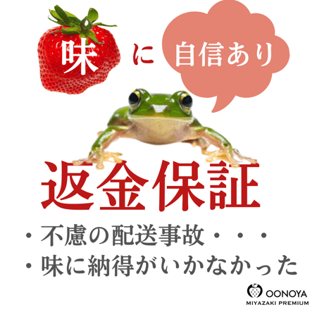 贈答用 化粧箱　１２玉 シングル