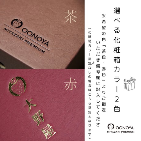 贈答用 化粧箱　１２玉 シングル