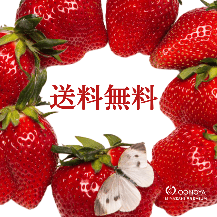63b8bb6591260a59b98ef2e2