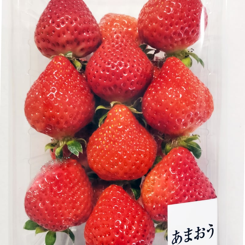 朝採り完熟 あまおう苺 2Lサイズ 2パックセット (285g×2) | 筑前FARM