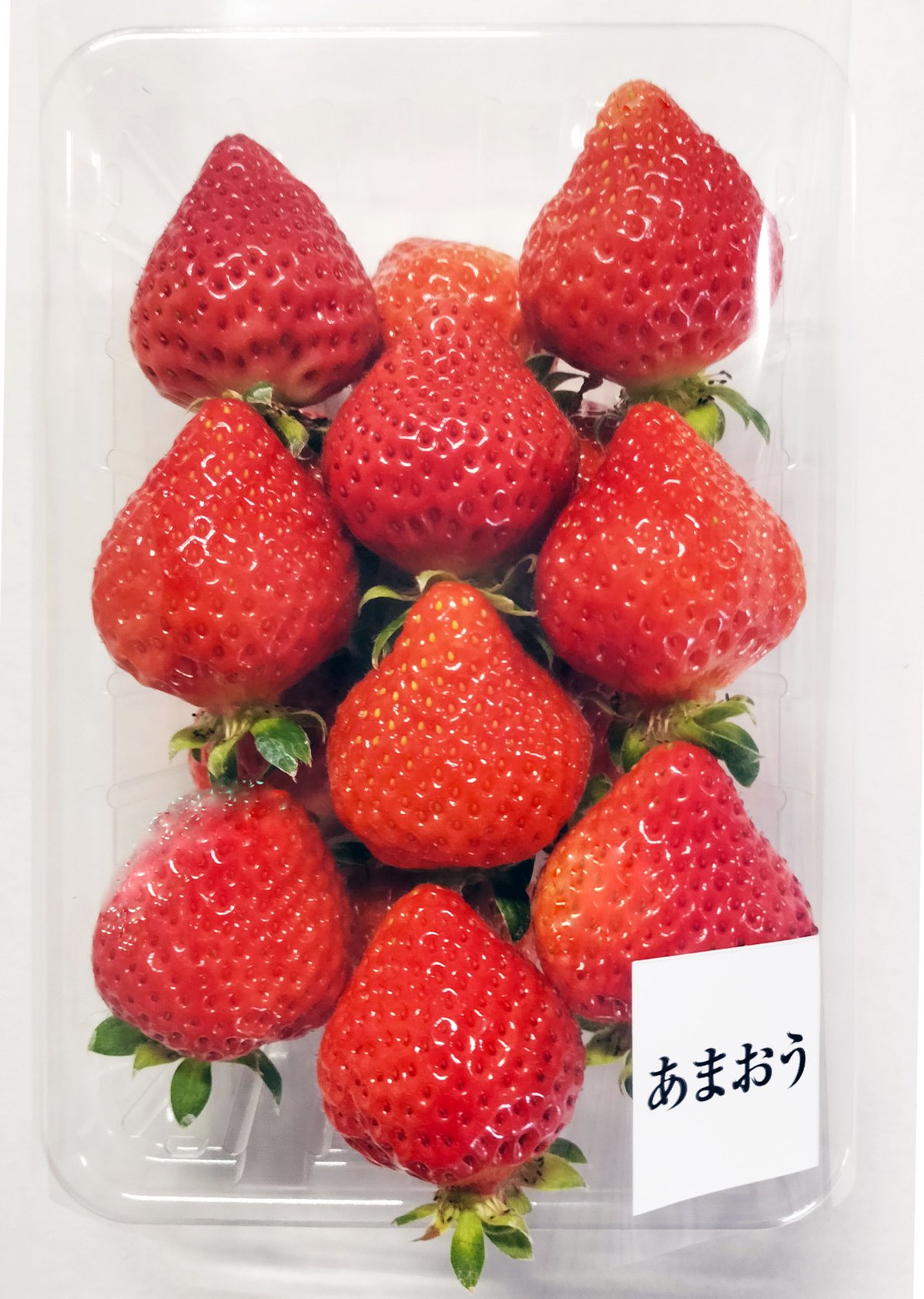 朝採り完熟 あまおう苺 2Lサイズ 2パックセット (285g×2) | 筑前FARM