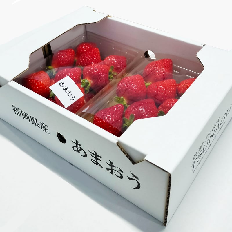 朝採り完熟 あまおう苺 2Lサイズ 2パックセット (285g×2) | 筑前FARM