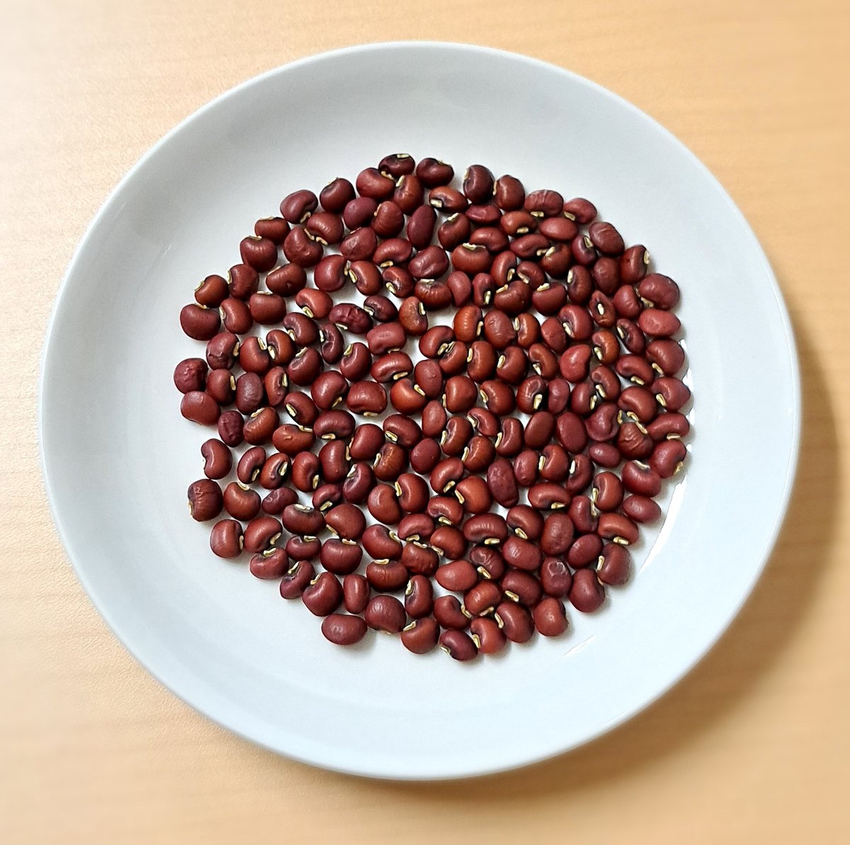 赤飯ささげ 金澤ささげ (国産) 100g×2袋 | 千田果樹園 赤飯ささげ 金澤ささげ (国産) 100g×2袋 | 千田果樹園