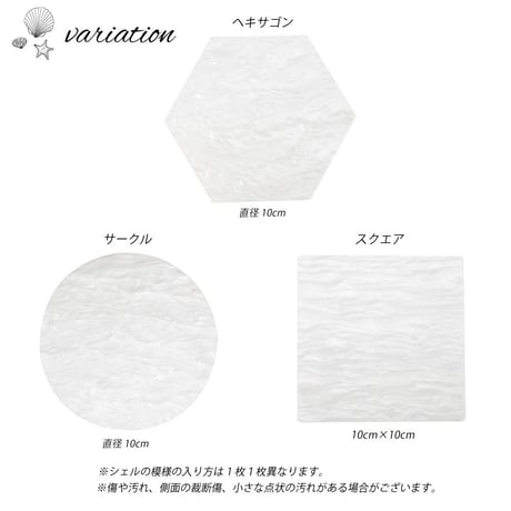 訳あり シェルプレート 全３種