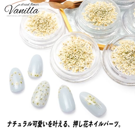 国産ドライフラワー Vanilla-ヴァニラ-