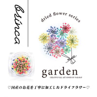 国産ドライフラワー brinka-ブリンカ-