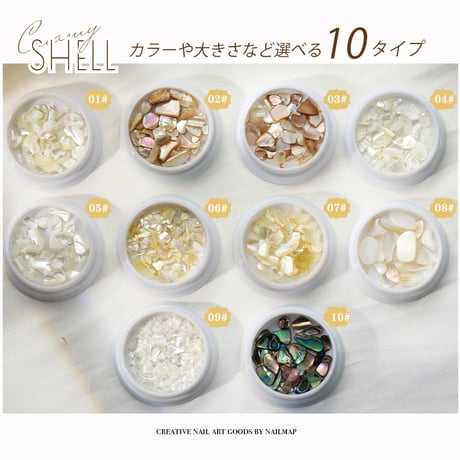 クリーミーシェル 全10種