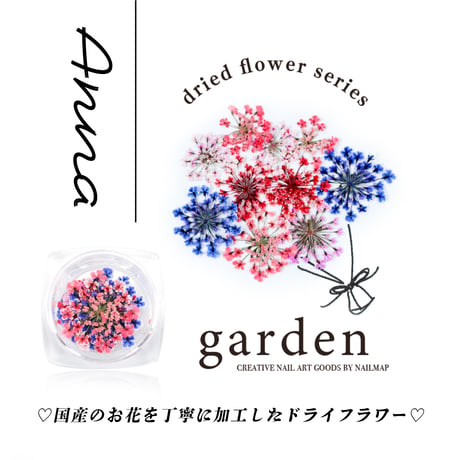 国産ドライフラワー Anna-アンナ-