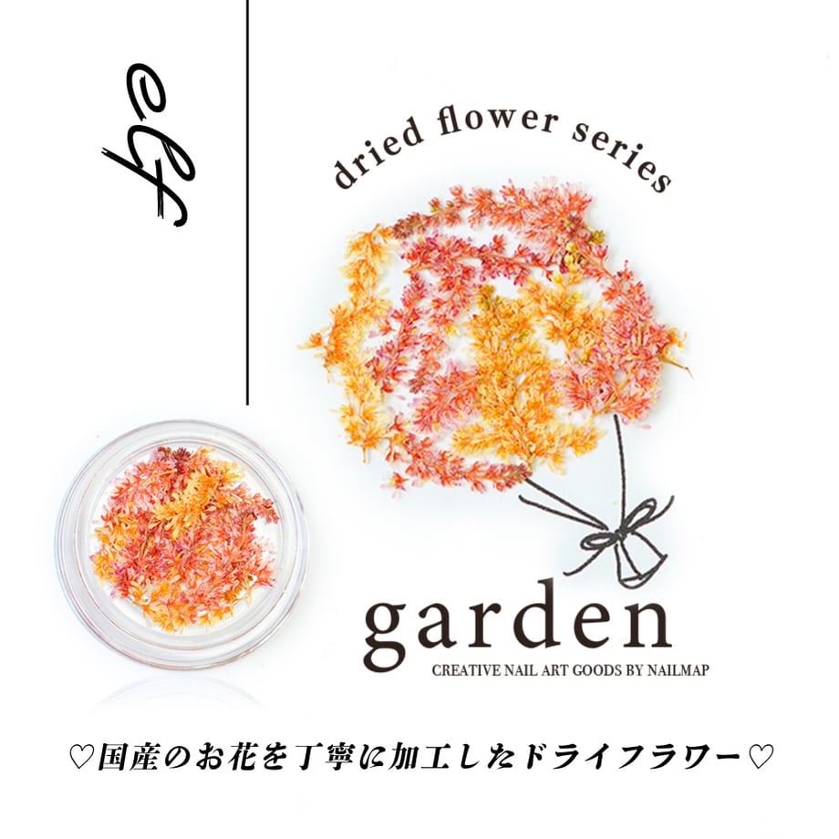 66a200dc8ae17803ac898c0c