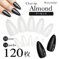 アーモンド/120枚セット