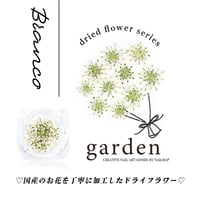 国産ドライフラワー Branco-ブランコ-
