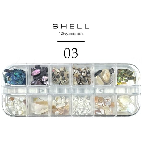 シェル12種セット BOX入り 全６種