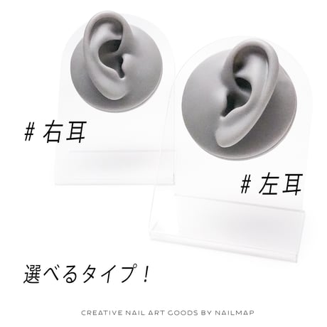 耳型シリコンアクセサリーディスプレイ