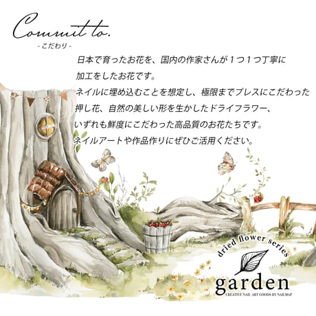 国産ドライフラワー 京藤-キョウフジ-