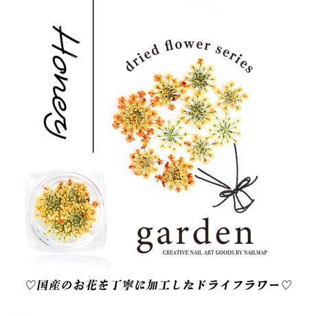 国産ドライフラワー Honey-ハニー-