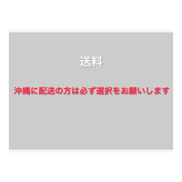 送料　※沖縄に配送の方は必ず選択をしてください。