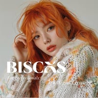 【B0004】オレンジ/BISCOS-spotlight Orange