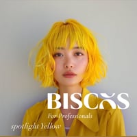 【B0002】イエロー/BISCOS-spotlight Yellow