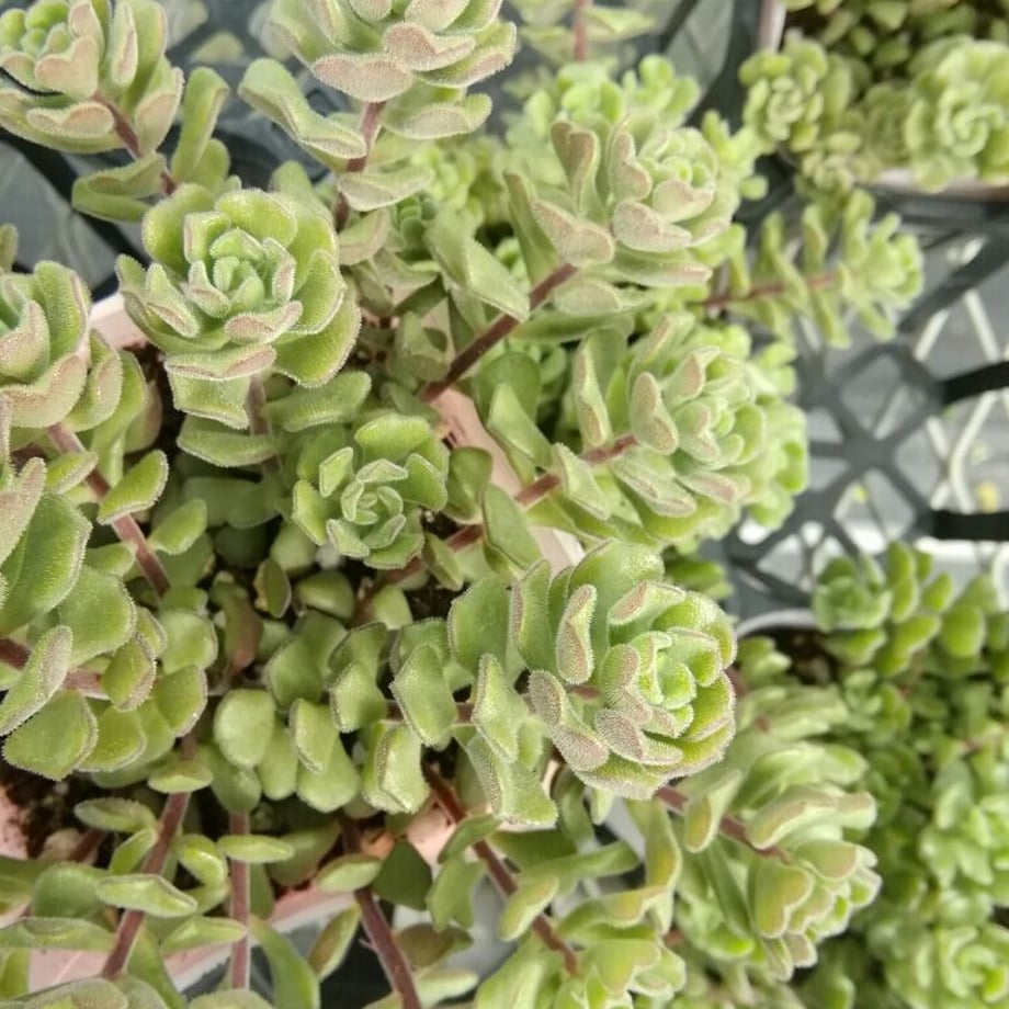 6409607aa629c4708237e99f