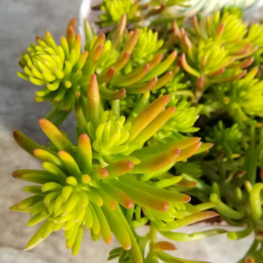 63ec816697c245798aa9e833