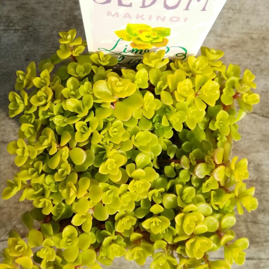 63ec85447d65da7c5aa9ac09