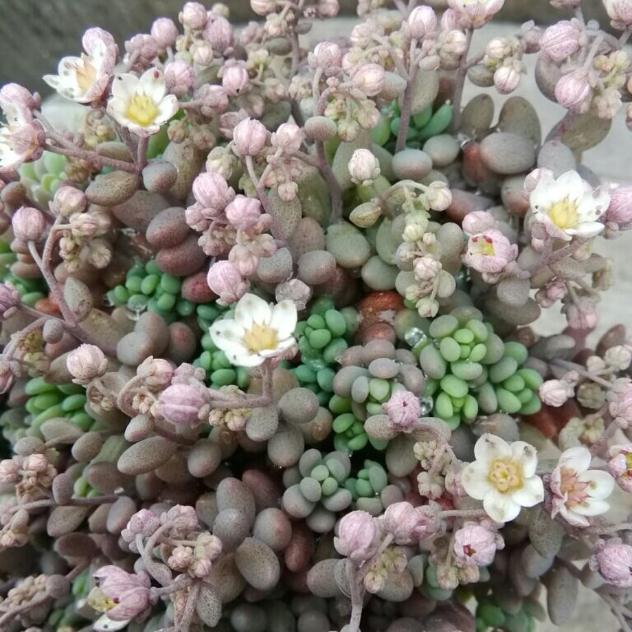 63fc43e093f6197925d72407