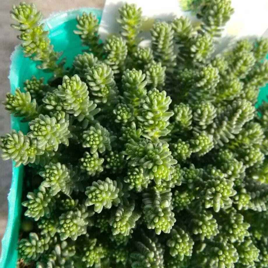 64096b5f8c88631183883966
