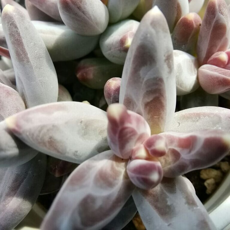 640beacd8b9c625cdc3a335d